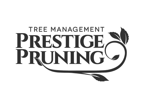 Prestige Pruning