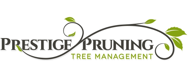 Prestige Pruning Tree Management - New Logo