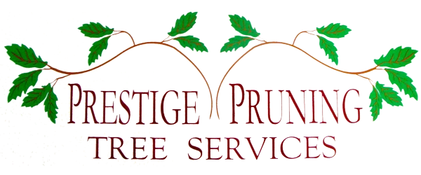 Prestige Pruning Tree Services - Old Logo